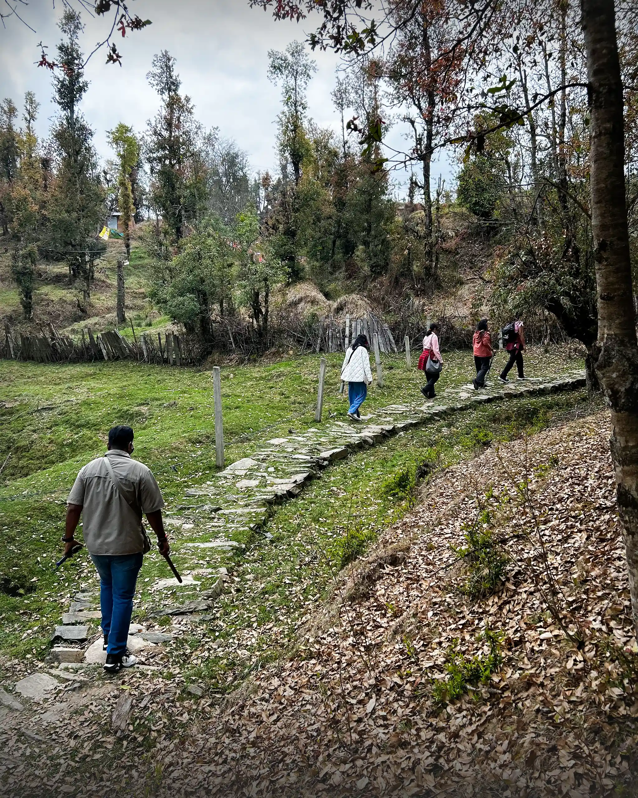 aoa81evfs710fbncslt6