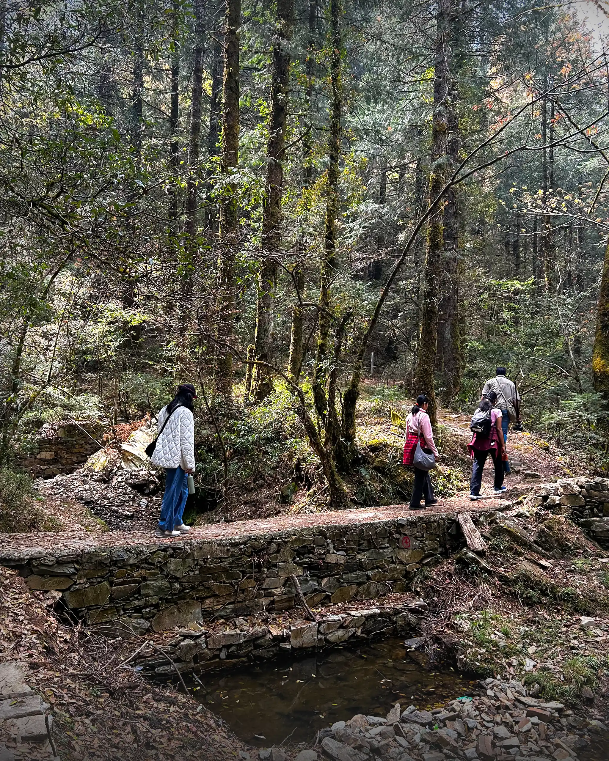 rhcn400evjvxzmjbpxoq